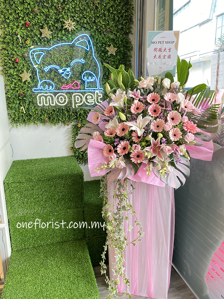 Opening Flower stand with pink
